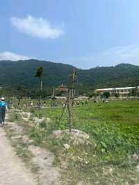 Cham Islands (Quang Nam)
