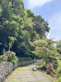 內洞-蝴蝶公園