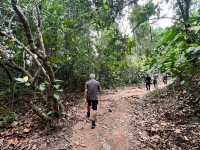 🏞 Gunung Lambak: Conquered the Jungle Beast!