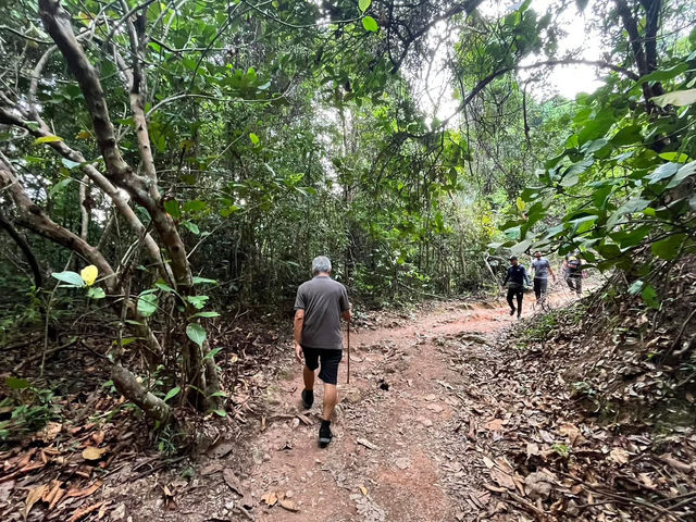 🏞 Gunung Lambak: Conquered the Jungle Beast!