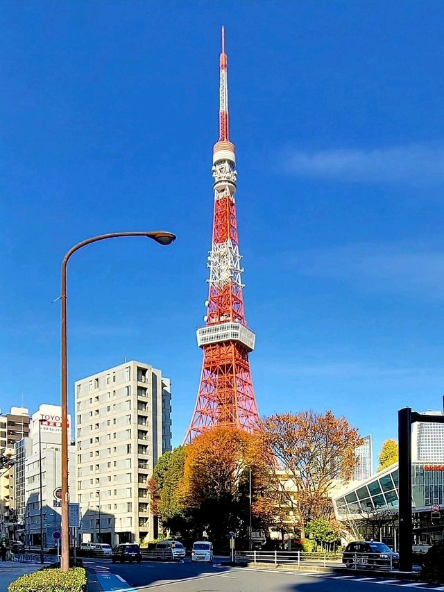 그랜드 하얏트 도쿄(グランド ハイアット 東京) 프렌치 키친(フレンチ キッチン)