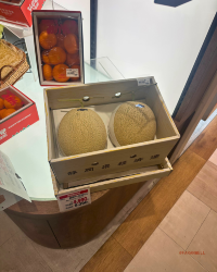 [Japan 🇯🇵] Shizuoka Food Guide: Delicious Delights Beyond Mount Fuji!