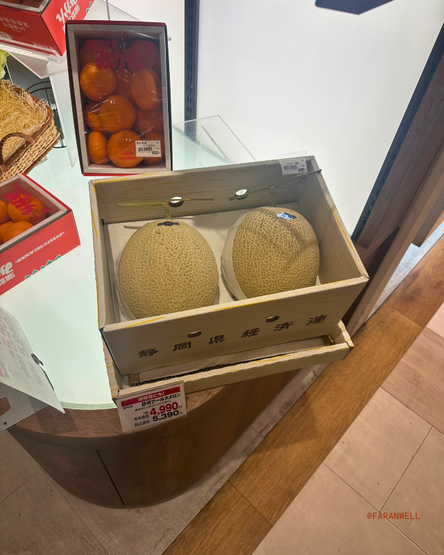 [Japan 🇯🇵] Shizuoka Food Guide: Delicious Delights Beyond Mount Fuji!