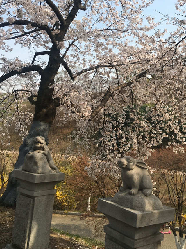 벚꽃 핀 올림픽 공원과 가는길