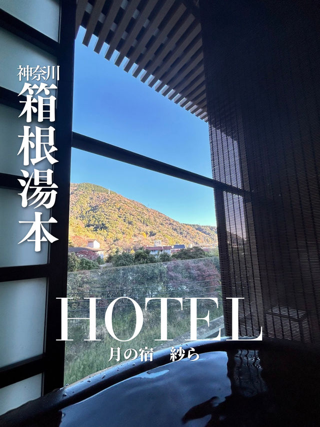 《箱根/宿》コスパ◎ 全室露天風呂付きのモダン湯宿