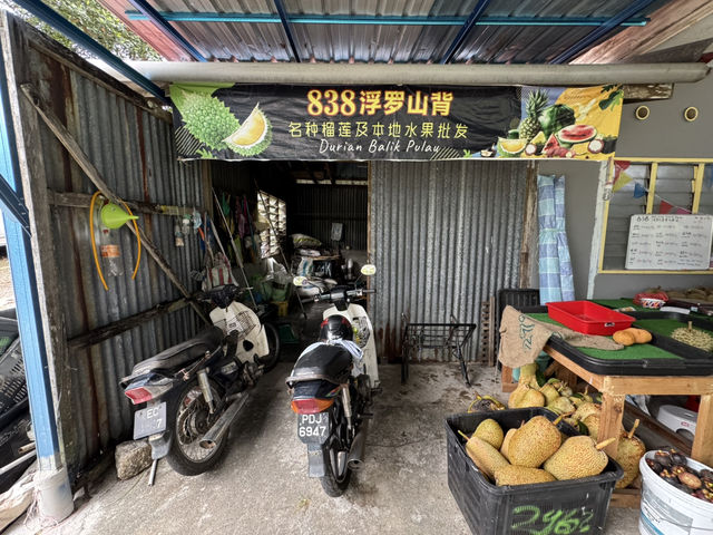 🌳 Hidden Gem in the Hills: 838 Durian Balik Pulau