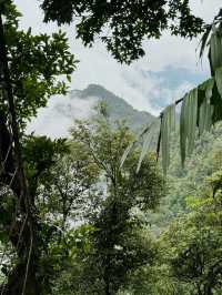 Hiking in Bạch Mã — Waterfalls, Jungle & Quiet Moments ⛰️🌧️