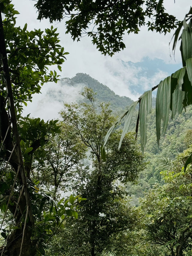Hiking in Bạch Mã — Waterfalls, Jungle & Quiet Moments ⛰️🌧️