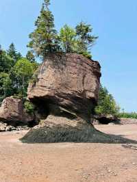 Where the Ocean Carves Magic: Hopewell Rocks