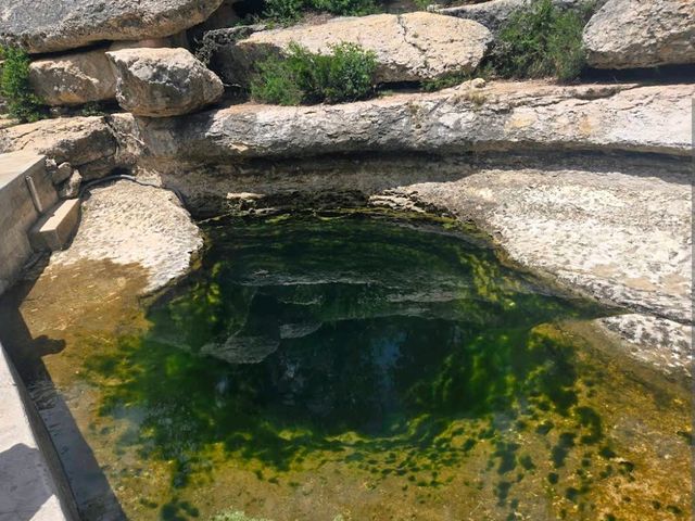 Jacob’s Well Natural Area – Wimberley