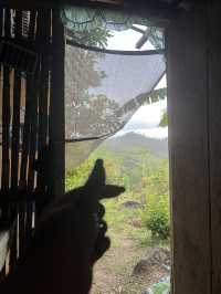 Happy Province life 