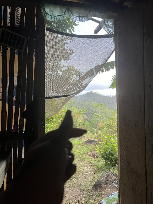 Happy Province life 