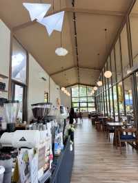 📍Living a dream cafe & playground ที่นี่สวยมากกกก
