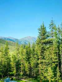 Kanas: Scenery on the Way Back