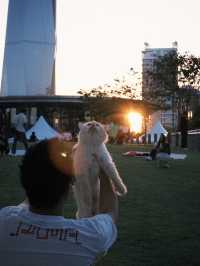 🌆 Sunset to Nightfall @ Lalaport BBCC Rooftop 🌃✨