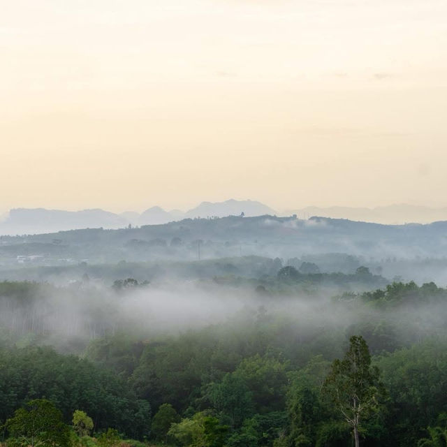 ที่พักใกล้ชิดธรรมชาติ เขื่อนเชี่ยวหลาน 🌊🌳