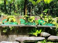 Green Escape by the Sea: Siloso Bliss on a Budget