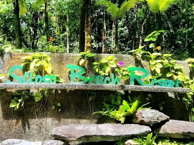 Green Escape by the Sea: Siloso Bliss on a Budget
