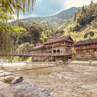 Longji Rice Terraces: A Solo Traveler’s Journey Through China’s Dragon Spine Mountains"** 🐉🌾