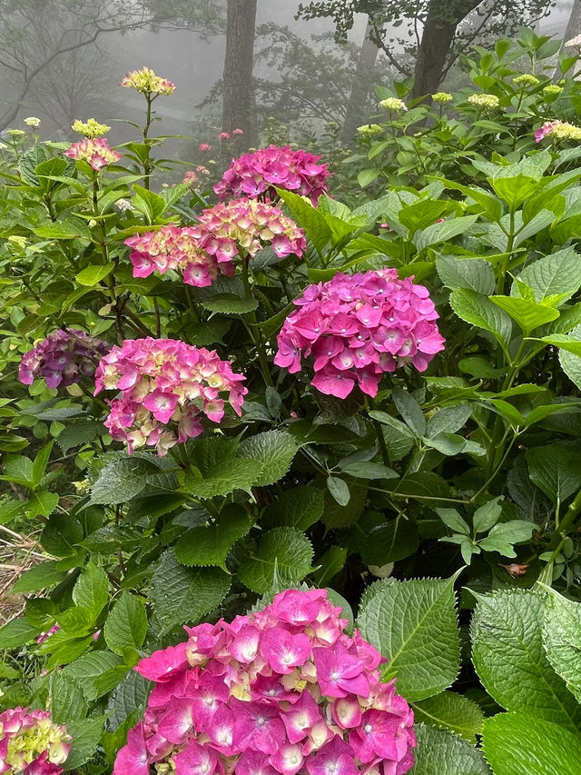 太宗臺公園：懸崖海景的療癒散步