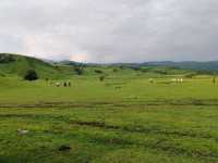 Wusun Historical Site: Echoes of a Millennium on the Grasslands  