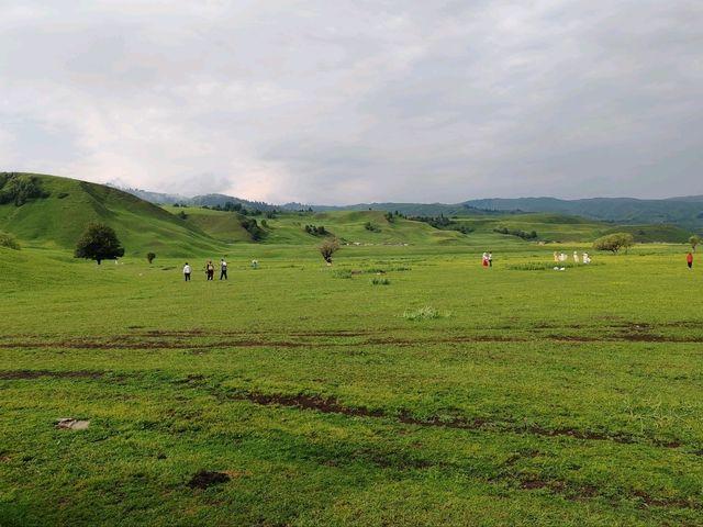 Wusun Historical Site: Echoes of a Millennium on the Grasslands  