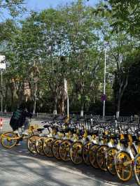 Ningbo City walk 🇨🇳