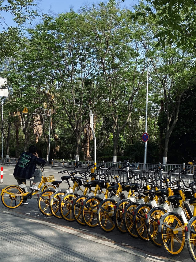 Ningbo City walk 🇨🇳