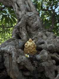 วัดสระเกศ: ความสงบกลางเมืองและวิวทิวทัศน์ 360 องศา