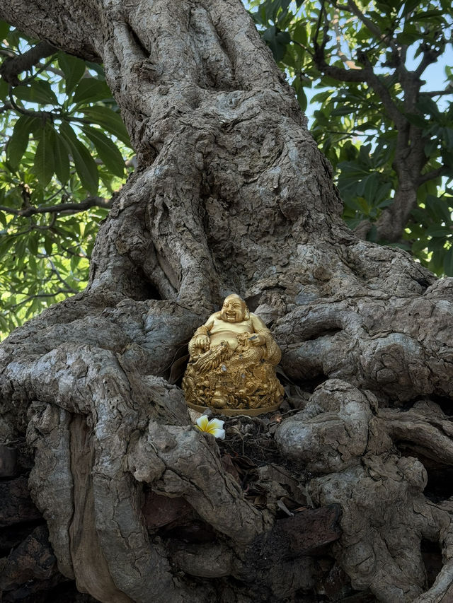 วัดสระเกศ: ความสงบกลางเมืองและวิวทิวทัศน์ 360 องศา