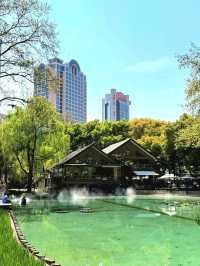 Jing’an Park: A Serene Oasis in the Heart of Shanghai