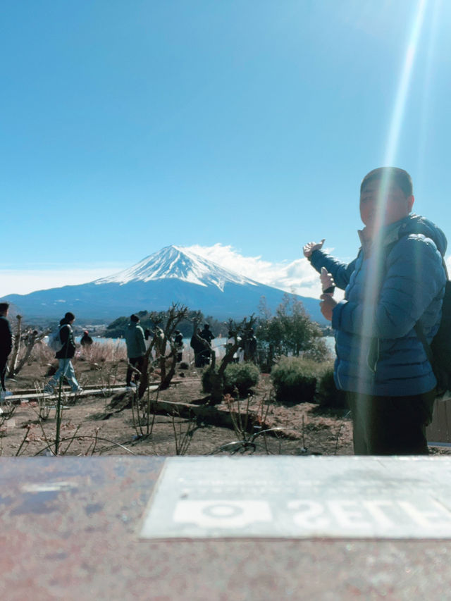 富士山河口湖