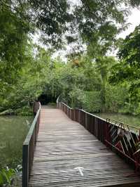 Chatuchak Park สวนจตุจักร