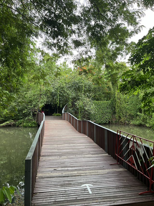 Chatuchak Park สวนจตุจักร