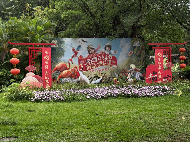 QUICK CHIMELONG GUANGZHOU + CITY TOUR!!!