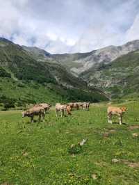 Nature Feels and Mountain Peace at Circo de La Larri