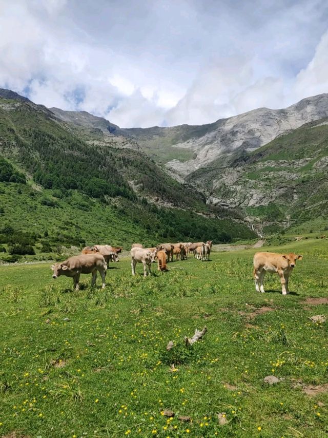 Nature Feels and Mountain Peace at Circo de La Larri