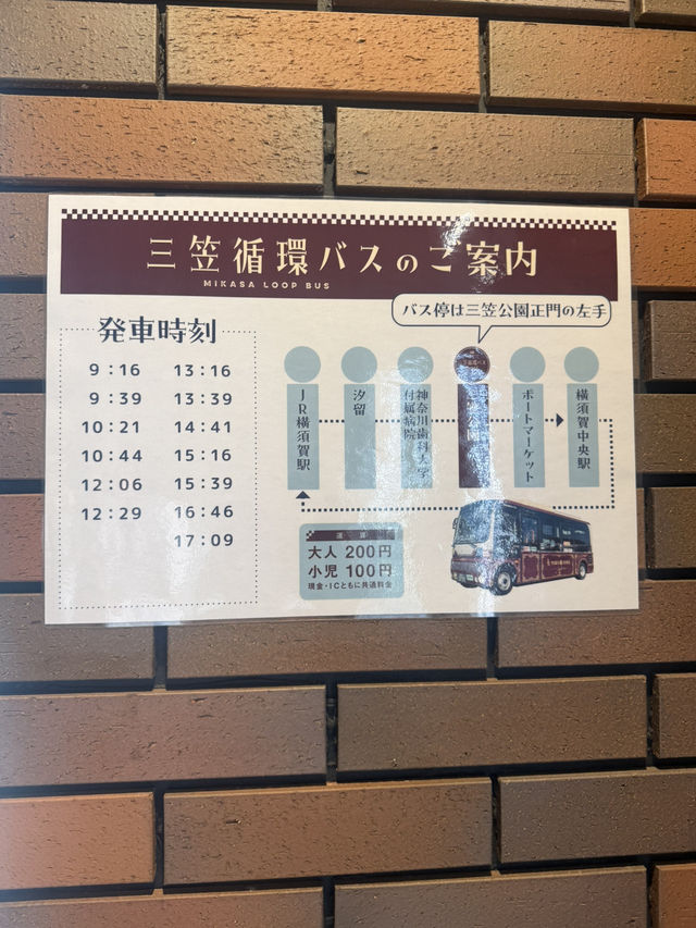🚢 三笠ターミナル / 猿島ビジターセンター — 無人島への玄関口＆観光案内拠点 