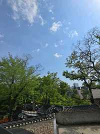 🏠🍋덕수궁 테라스 카페 소포라