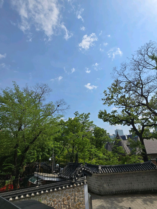 🏠🍋덕수궁 테라스 카페 소포라