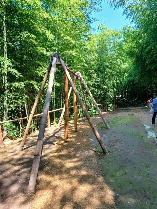 대나무 숲의 매력에 퐁당