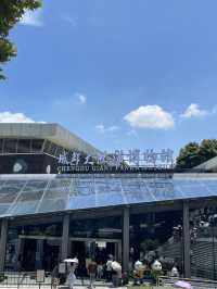 Chengdu Panda museum 🐼