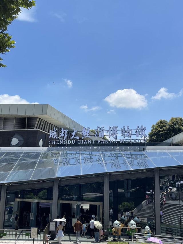 Chengdu Panda museum 🐼