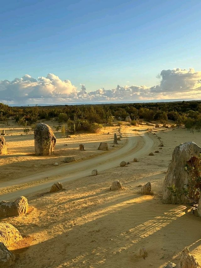 The Pinnacles Desert The Pinnacles Desert