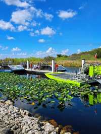 Gliding Through the Everglades｜An Unforgettable Airboat Adventure 🐊🌿🚤