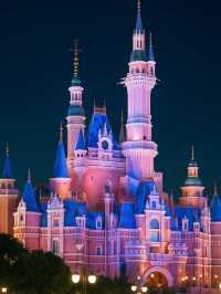 A Magical Fusion: Disney Dreams with a Chinese Heart