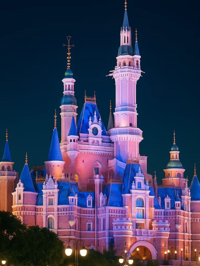 A Magical Fusion: Disney Dreams with a Chinese Heart