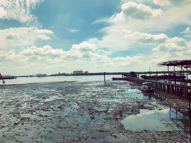 🦀 Pulau Ketam – The Floating Village You Didn't Know You Needed