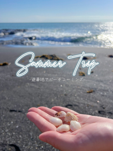 This beach is closed from Tokyo | Trip.com Katsuura