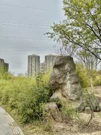 City Calm, Lakeside Light – A Pause at Xiliu Lake Park